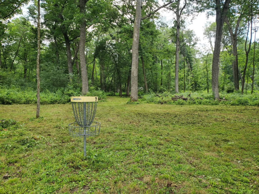 A disc golf basket among the trees at County Park.