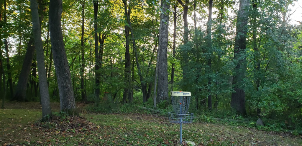 A wooded disc golf hole at County Park.