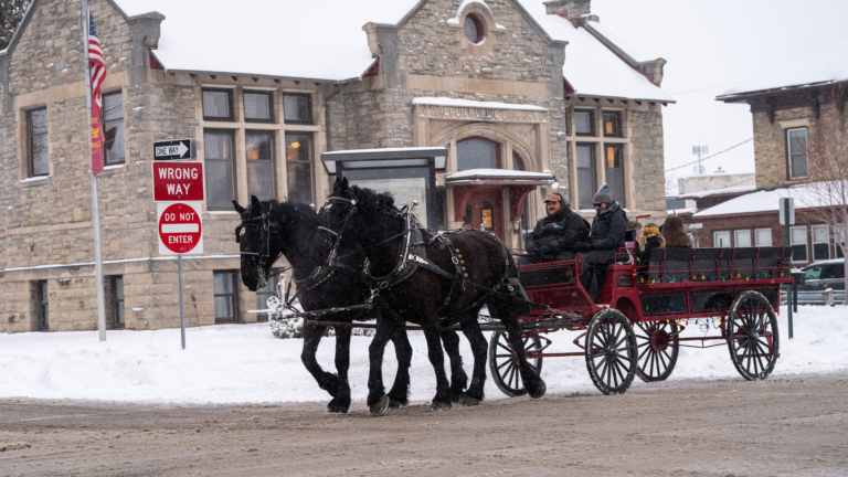A horse-drawn carriage ride past the historic library on a snowy day.